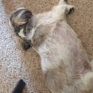 Meet your Posher, Nancy